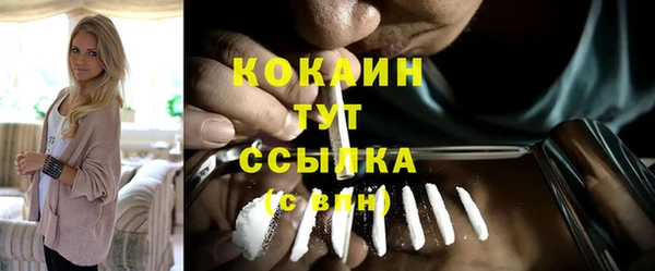 ПСИЛОЦИБИНОВЫЕ ГРИБЫ Белокуриха