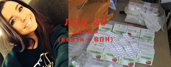 ПСИЛОЦИБИНОВЫЕ ГРИБЫ Белокуриха