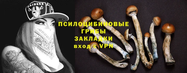 ПСИЛОЦИБИНОВЫЕ ГРИБЫ Белокуриха