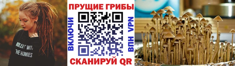 цены наркотик  KRAKEN зеркало  Псилоцибиновые грибы GOLDEN TEACHER  Пионерский 